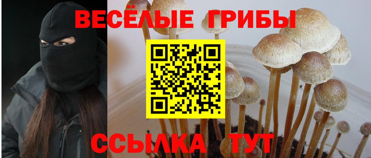Псилоцибиновые грибы ЛСД  Галлюциногенные грибы прущие грибы  Вход с VPN  Дзержинск 